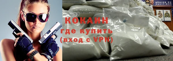 стафф Новодвинск