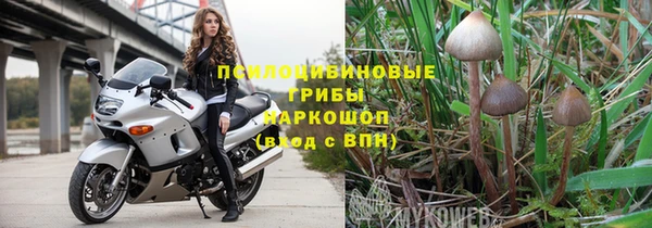 ALPHA PVP Новозыбков
