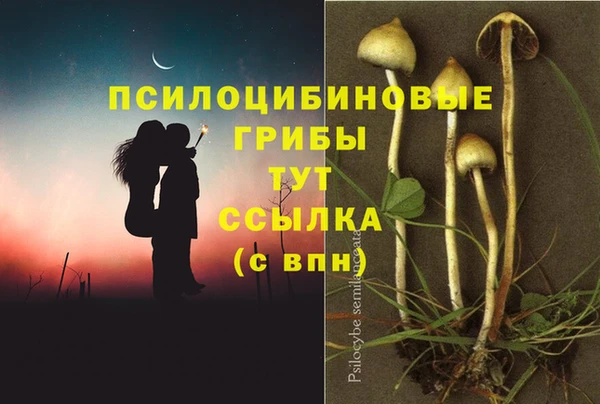 ECSTASY Баксан