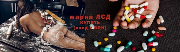 стафф Новодвинск
