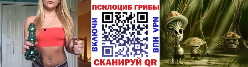 Псилоцибиновые грибы Cubensis  kraken зеркало  Георгиевск 